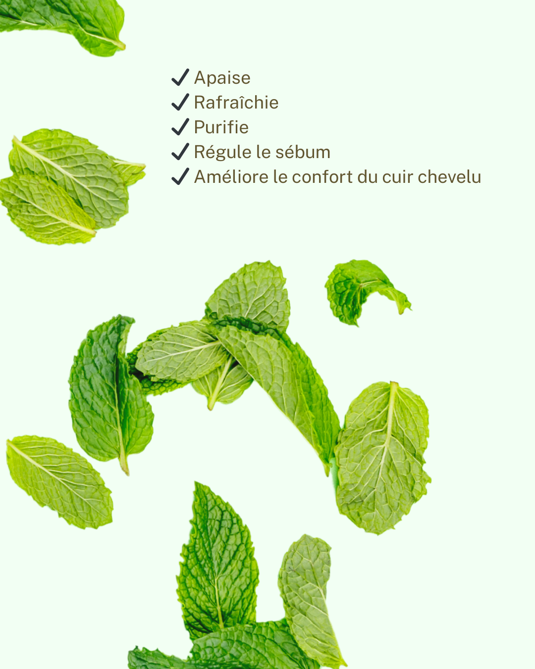 Votre routine capillaire cheveux gras