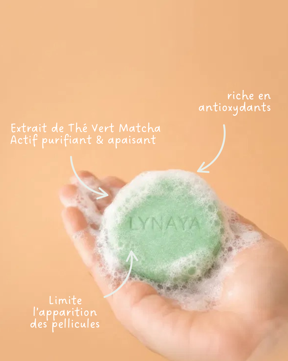 Shampoing démangeaisons & pellicules au thé vert/matcha