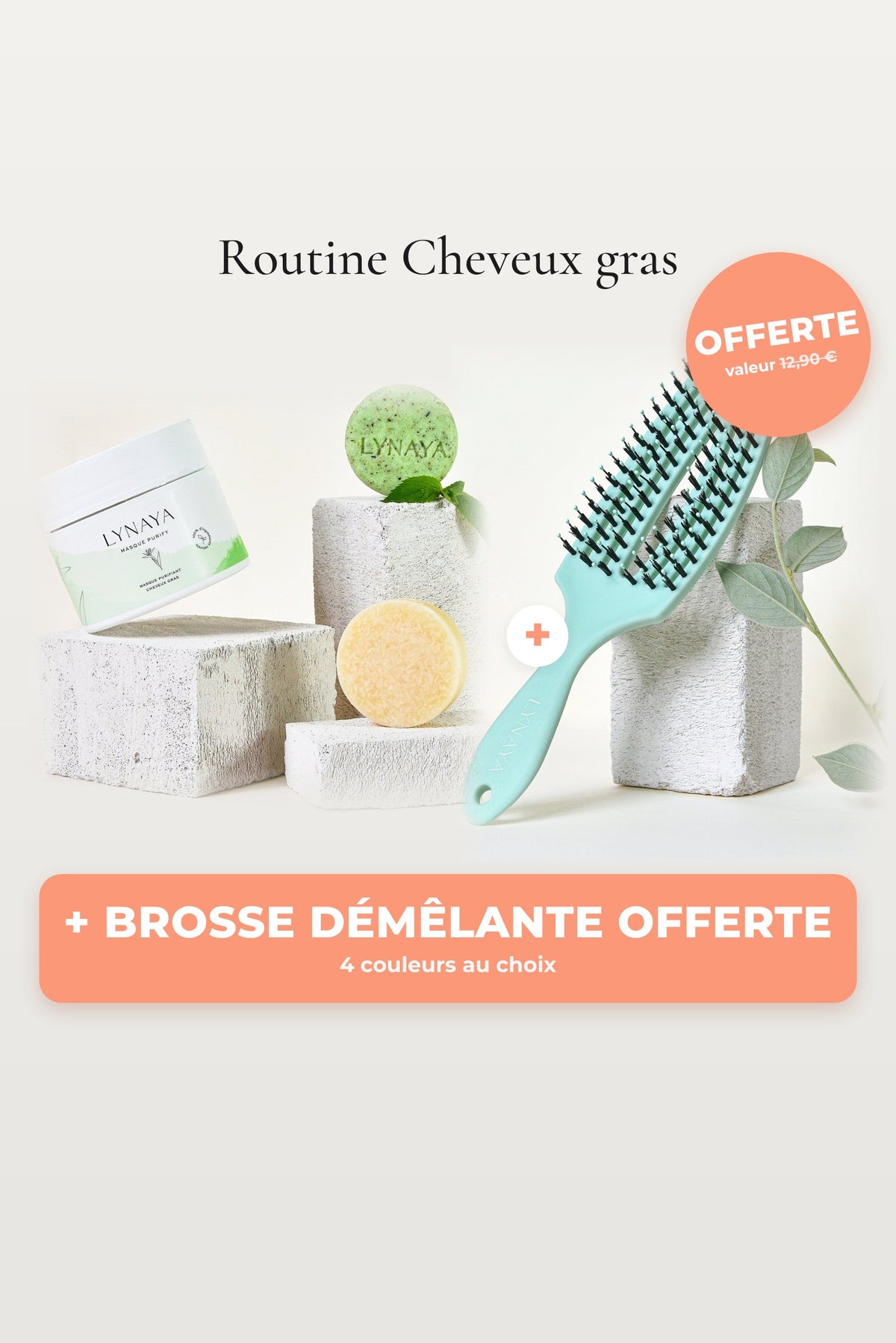 Routine cheveux gras + brosse démêlante offerte