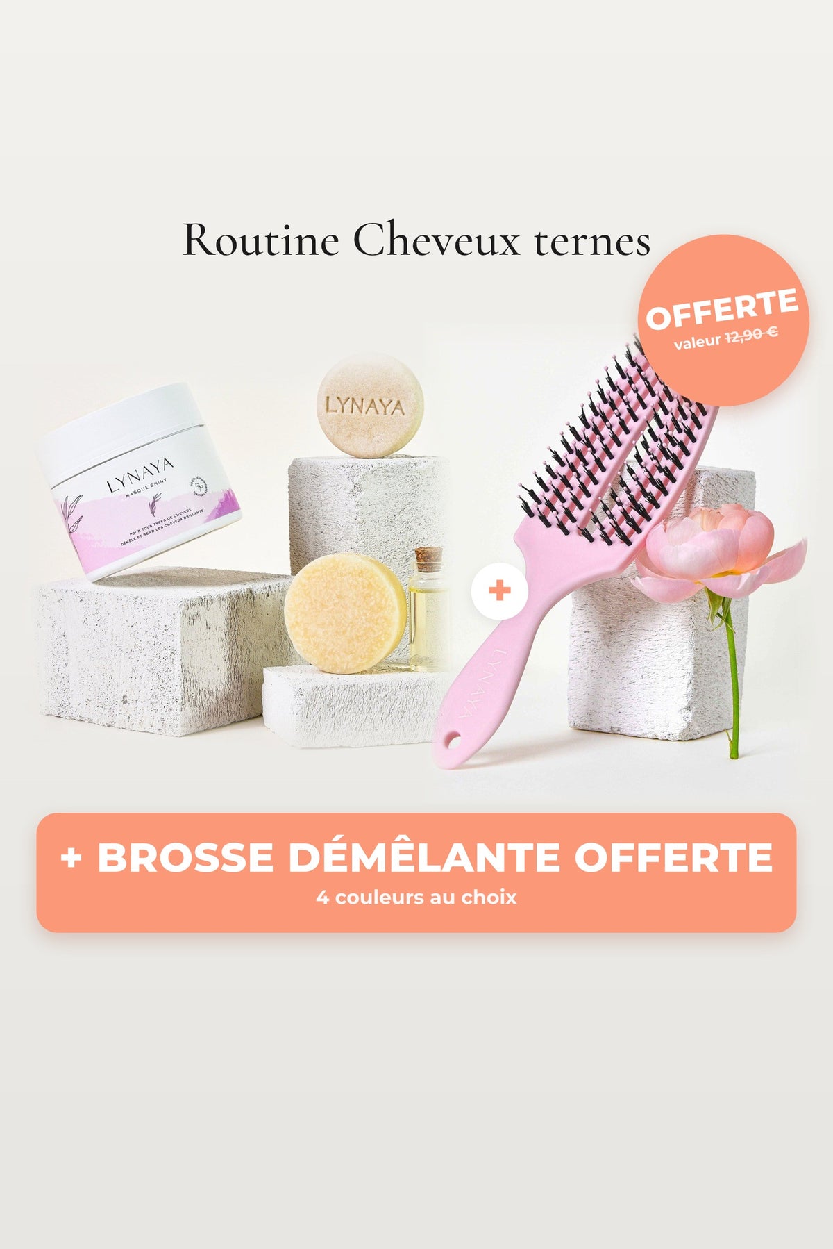 Routine cheveux ternes + brosse démêlante offerte