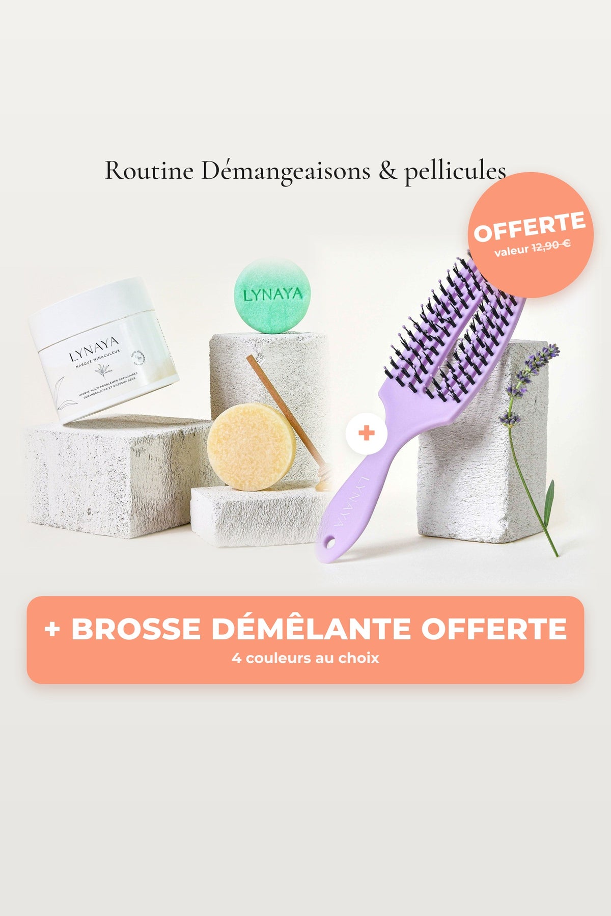 Routine démangeaisons et pellicules + brosse démêlante offerte