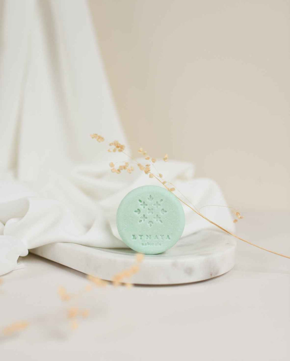 Shampoing démangeaisons & pellicules au thé vert/matcha